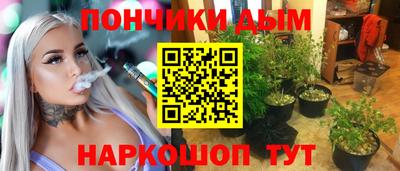 соль ск Новозыбков
