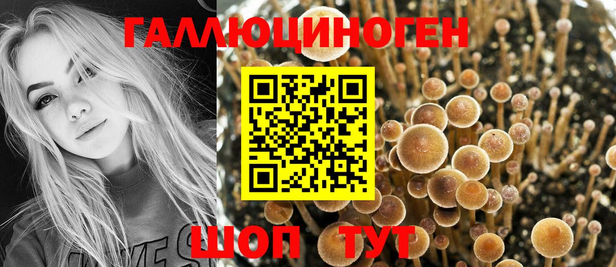 Галлюциногенные грибы MAGIC MUSHROOMS  Вход с VPN  Тихвин  Псилоцибиновые грибы MAGIC MUSHROOMS 